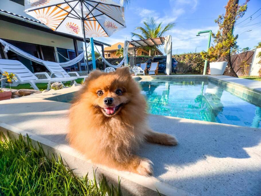 Reserva Do Paiva - A Melhor Casa Para Temporada Recife Luaran gambar